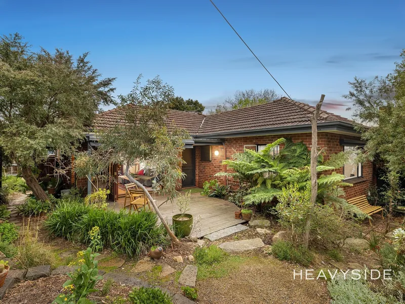 A garden oasis in bountiful Box Hill South