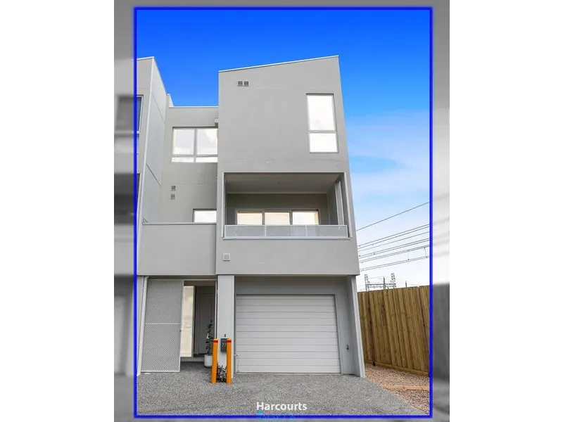 In the Heart of it All