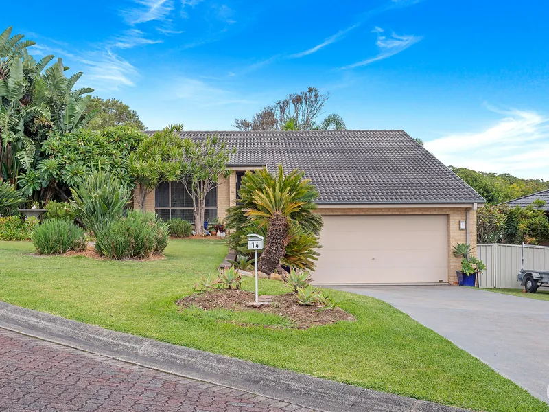 A Cut Above, A Celebration Of Light And Life With a Leafy Outlook