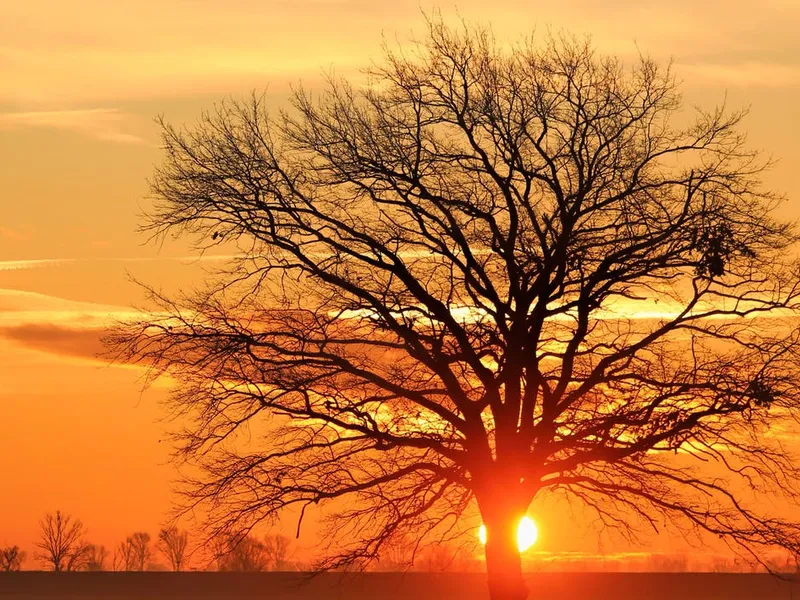 A RARE JEWEL AT SUNSET