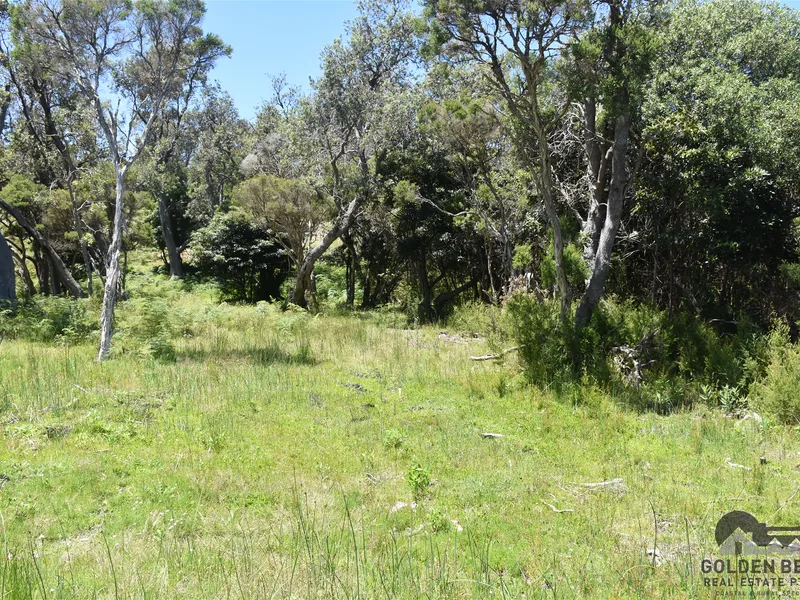 Quiet Block with plenty of options!