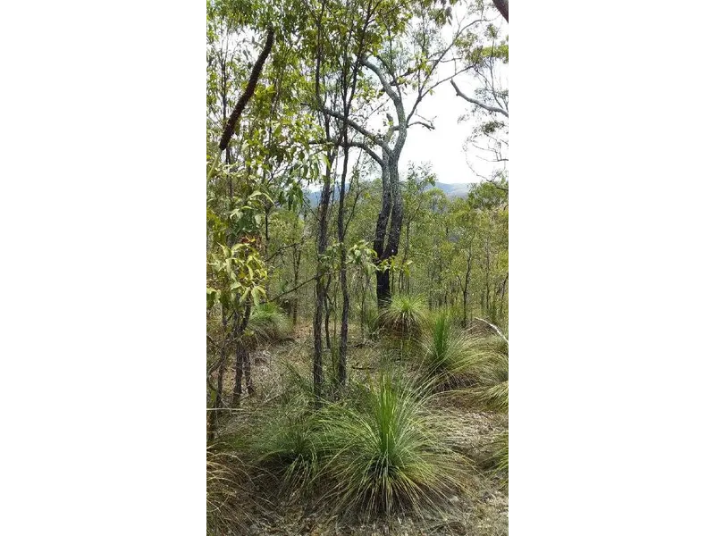 Just $149k for 40 Acre getaway!