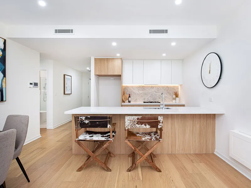 Modern luxury apartment