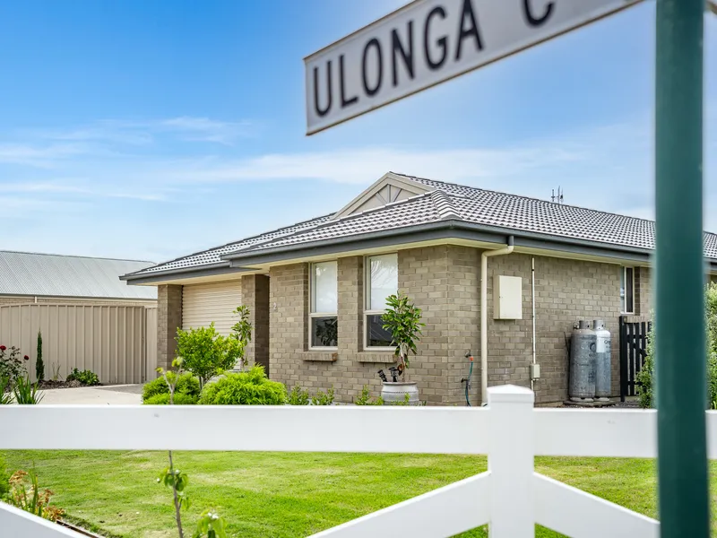 The Perfect Sanctuary