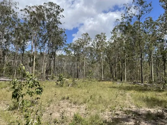 Fabulous Affordable Land Opportunity (#2 Of Two)