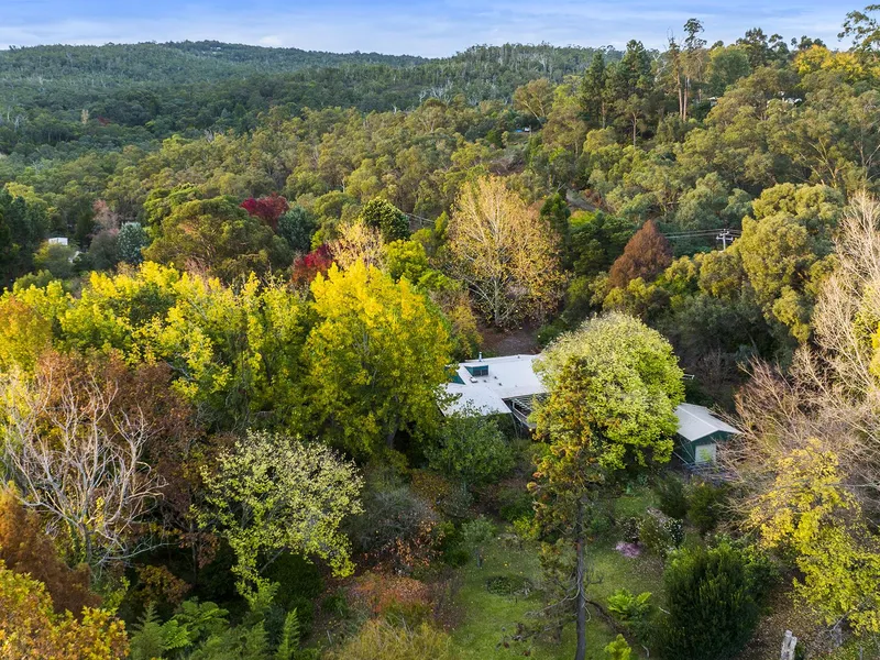 Sensory Immersion....