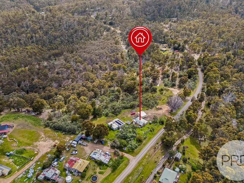 Bagdad - Lots of Land plus LOTS of Opportunity