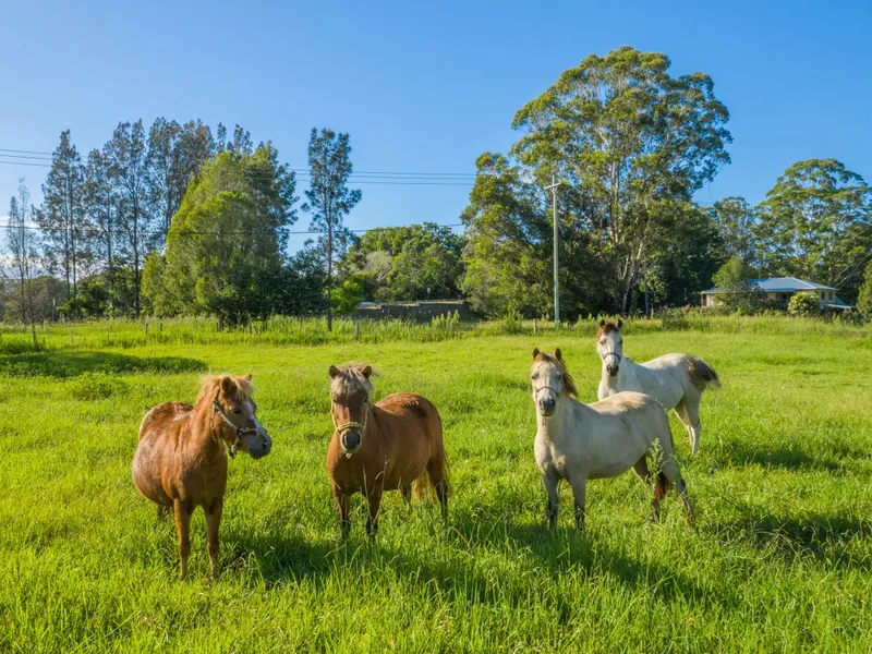 RENOVATORS SPECIAL, PONIES/GOATS/SHEEP/DOG/BOATS