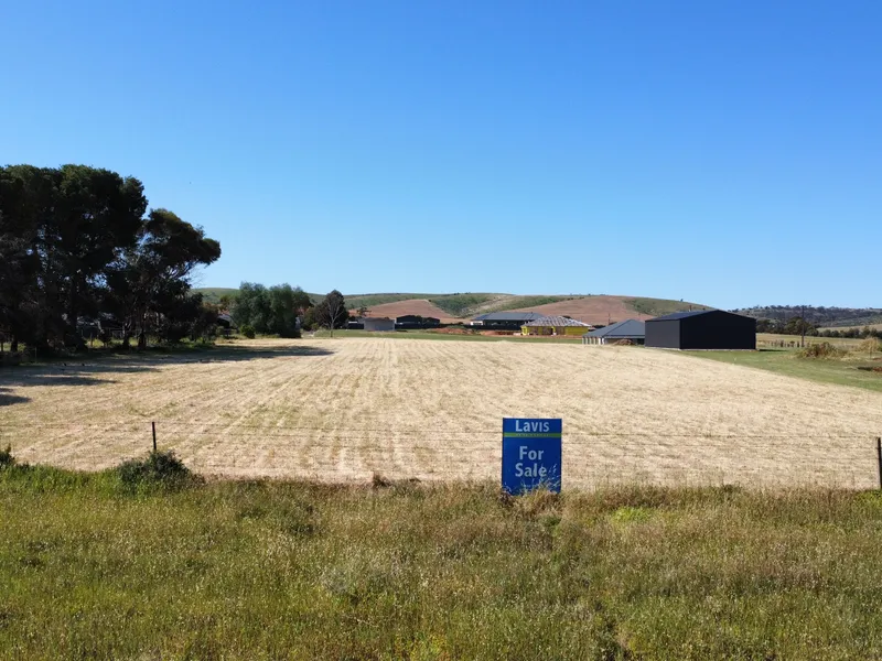 Large spacious allotment