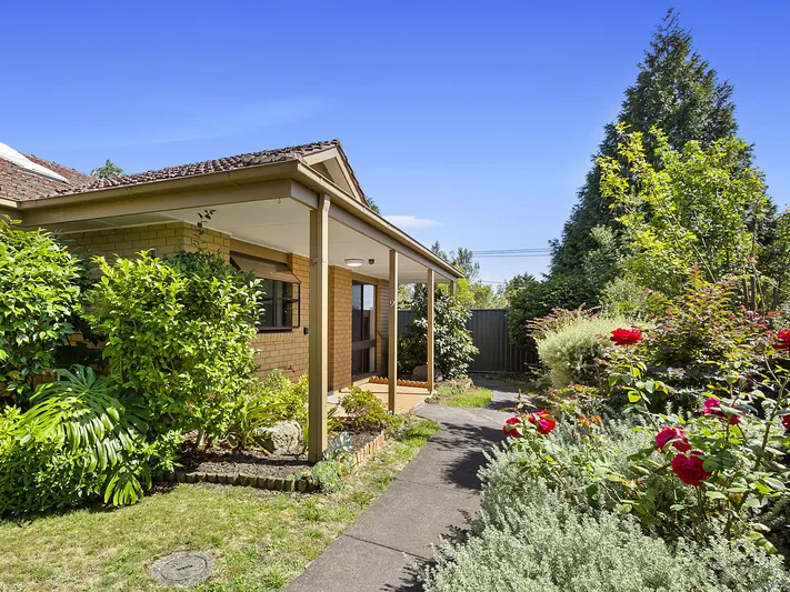 Tranquil garden views