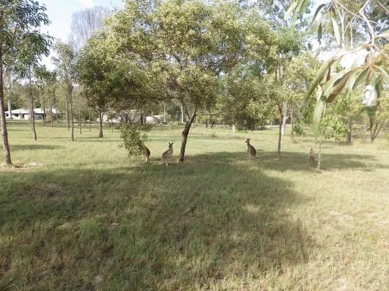 PRICE REDUCED: The Perfect Lifestyle Block