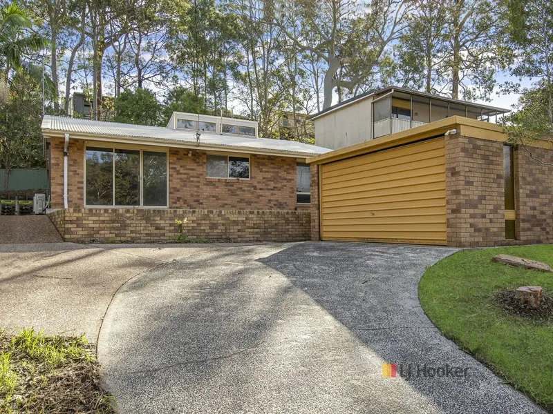 Renovator's Dream Project