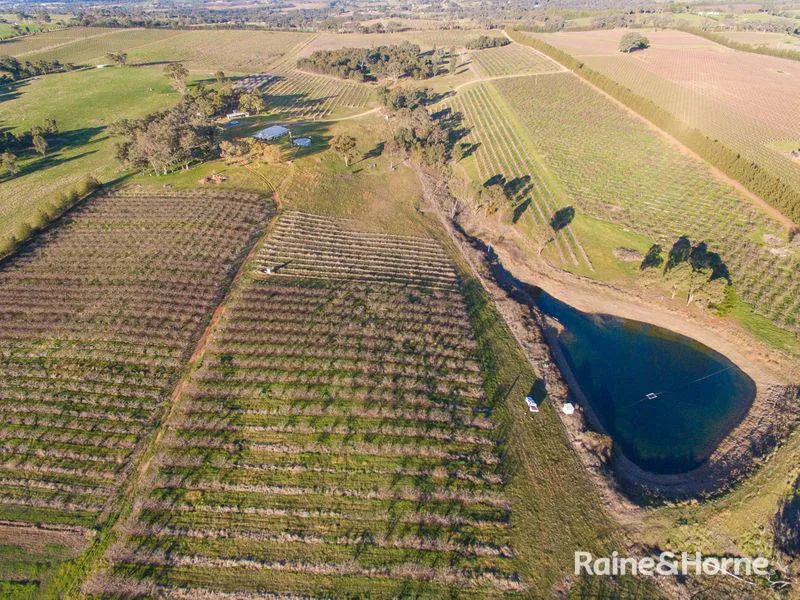 HIGHLY PRODUCTIVE ORCHARD!