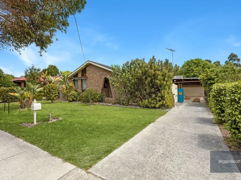 Walk to Wantirna Mall