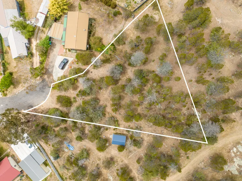 APPEALING BUSH BLOCK