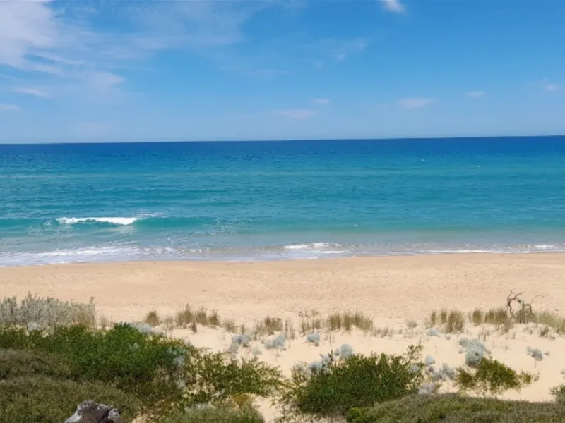 Expressions of Interest