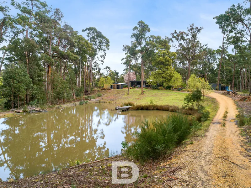 Timeless and tranquil with infinite opportunity on 2.28ha