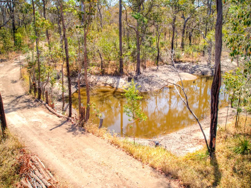 40 ACRES- LIFESTYLE BLOCK- UNBELEIVABLE VALUE