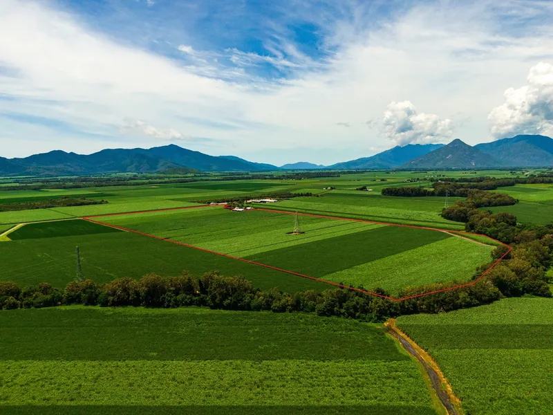 Sugar Cane Farm Edmonton 80 Acres