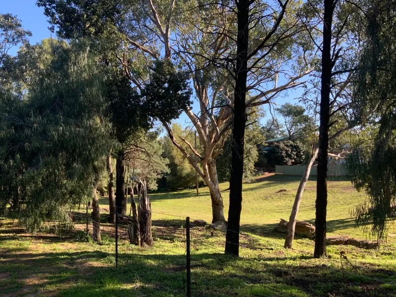 Blank Canvas, 30km from Dubbo