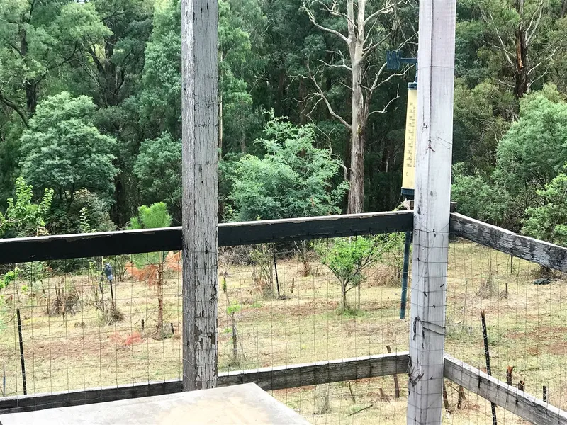 Comfy Shack on 6 High  Country Acres