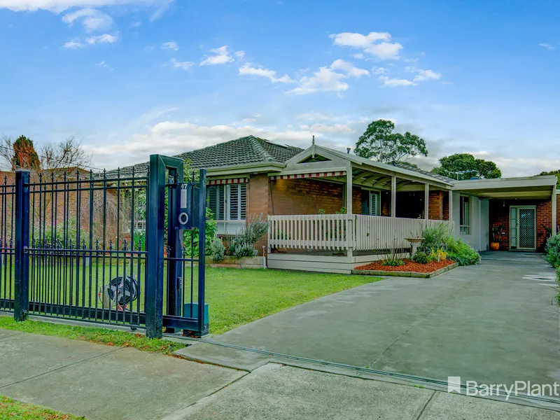 The One You've Been Waiting For!