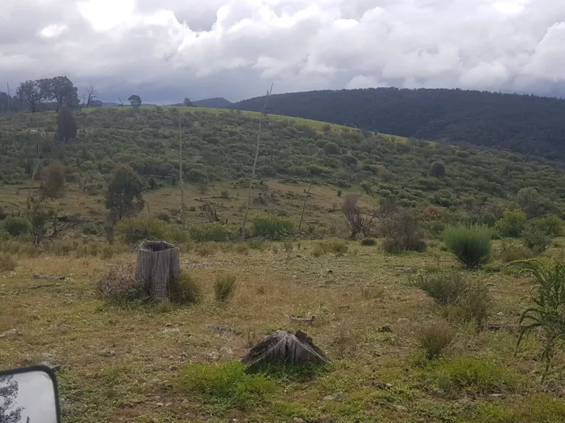Spring Valley West, 800 Acre, Grazing property or weekend get away, 40 mins west of Orange.$ 520000 price reduced to sell