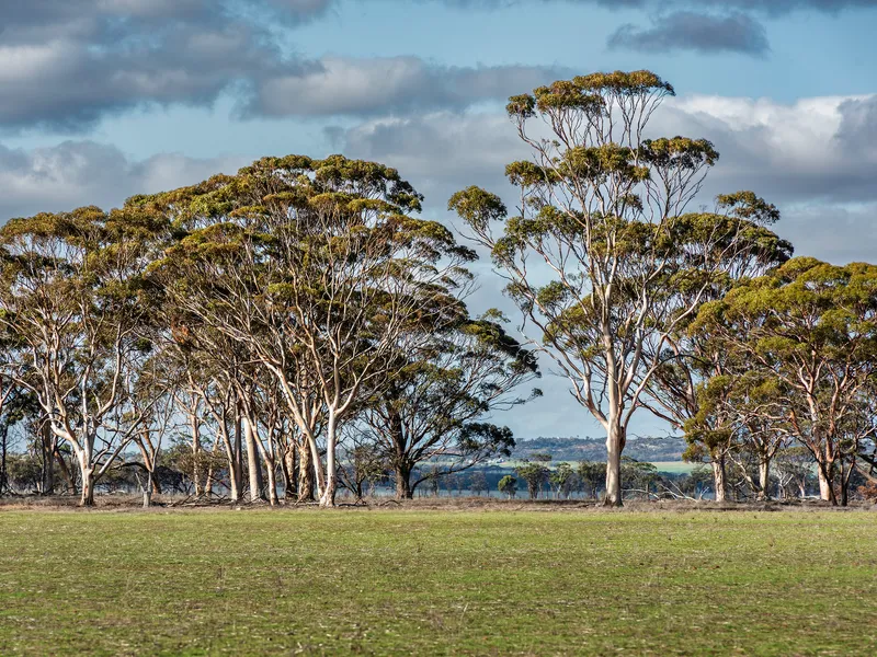 North Kununoppin Situated on the Kununoppin – Mukinbudin Road