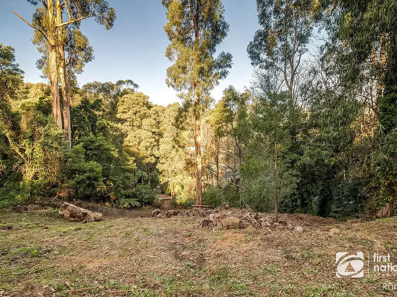 OFFER'S CLOSING TUESDAY 30TH OF MARCH 5PM - LAND OF PLENTY