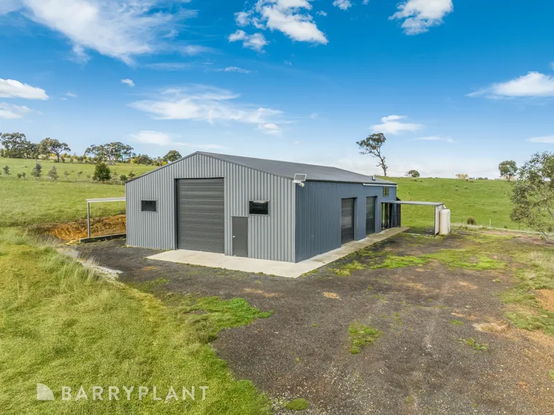 39 ACRES WITH SHED