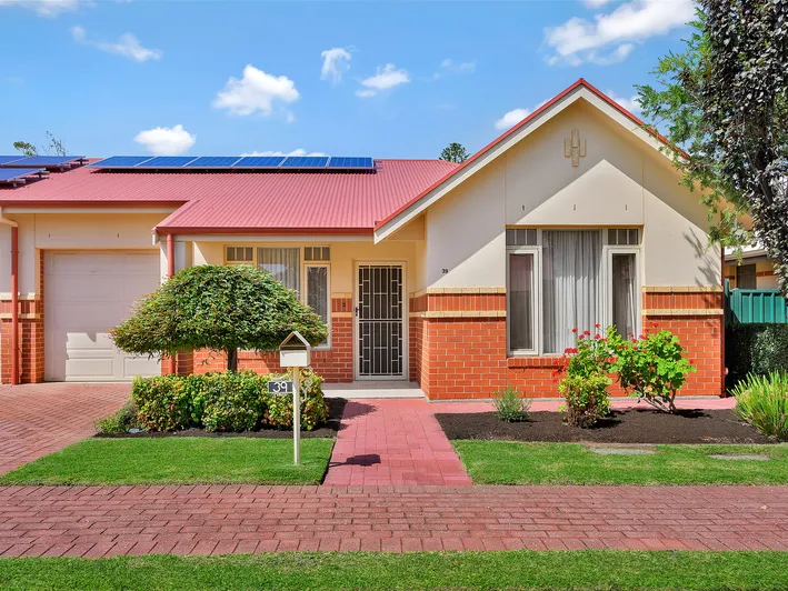 Beautifully established rear garden