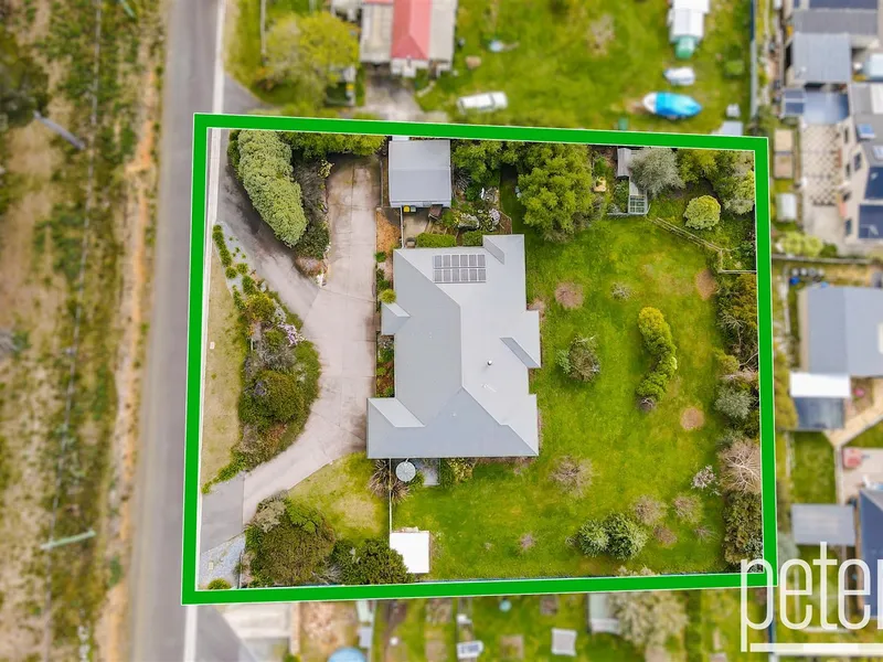 Basque in the Sunshine.