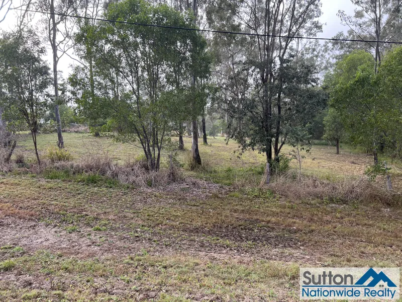 Tranquil Bush Setting