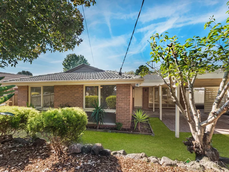 The Perfect Start – With Potential Plus!