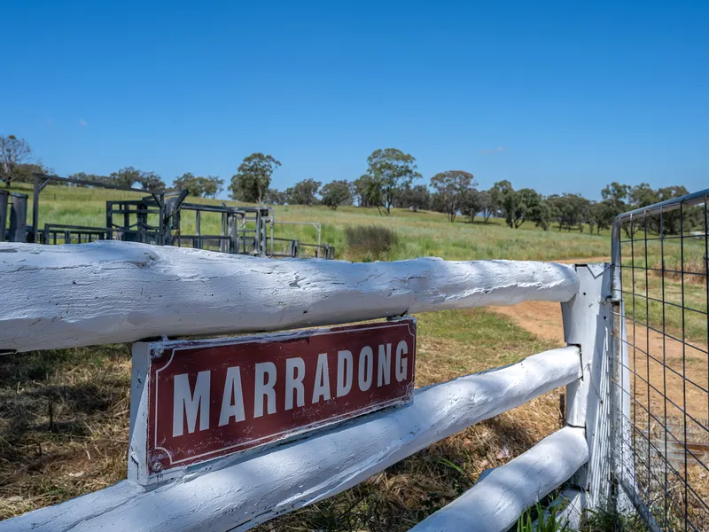 RURAL LIFESTYLE ONLY 15 MINUTES FROM TOWN