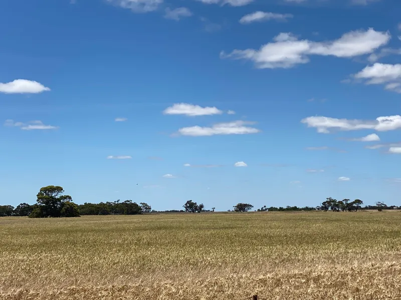 WARRACKNABEAL-WILLENABRINA DISTRICT