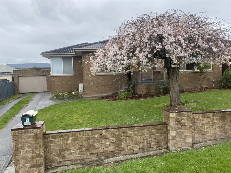 Immacuately Presented!