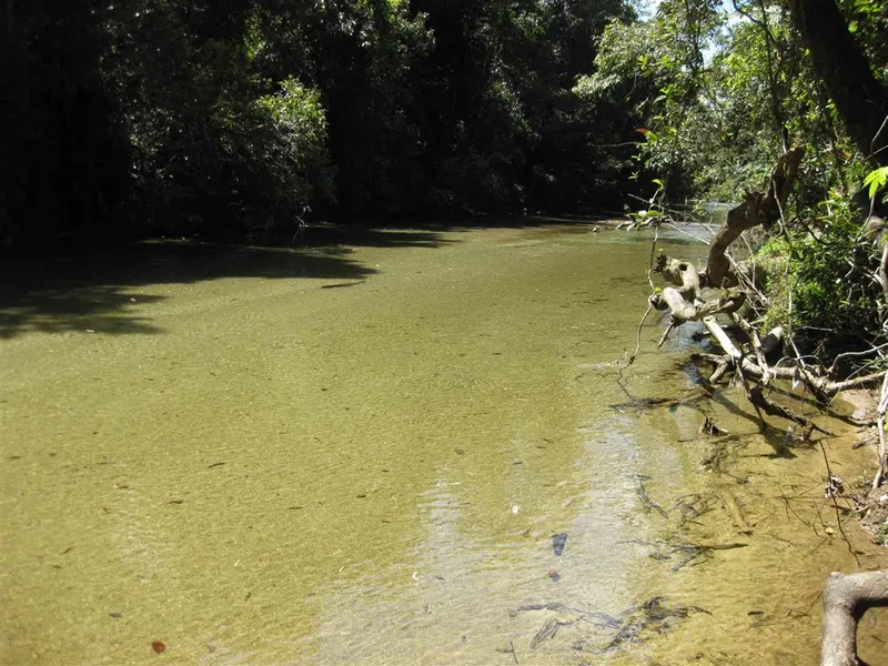 Small acreage cane farm backing on to beautiful sandy creek