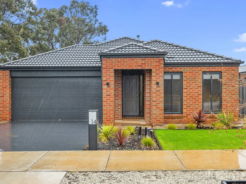 In-Vogue Living in Jackass Flat