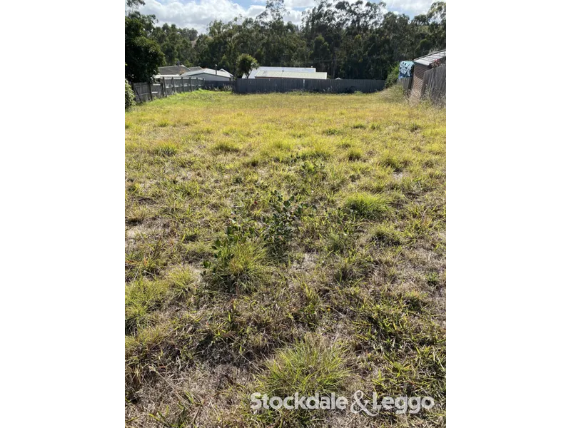 Build Your Future In This Court Location