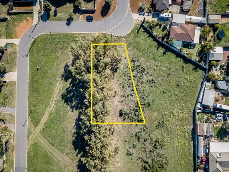 Good Sized Block in Suburbia?