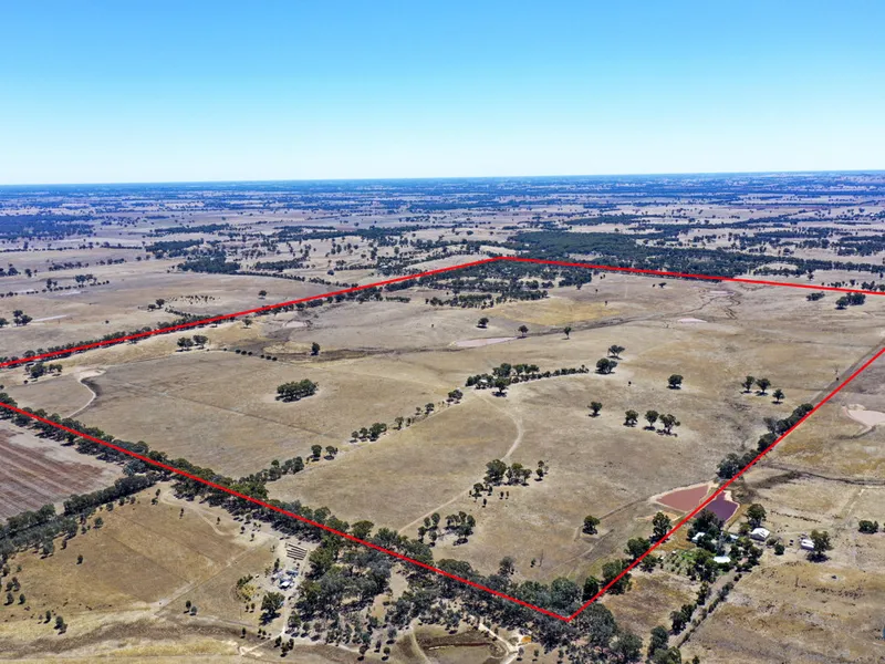 'View Hill' - A Grade outpaddock