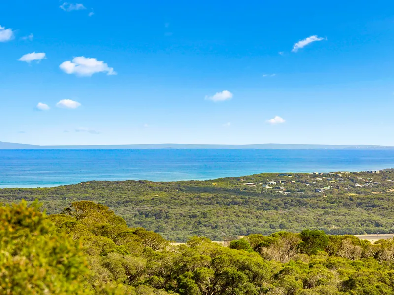 A Private Treetop Sanctuary With Panoramic Views From The Ocean To The Bay