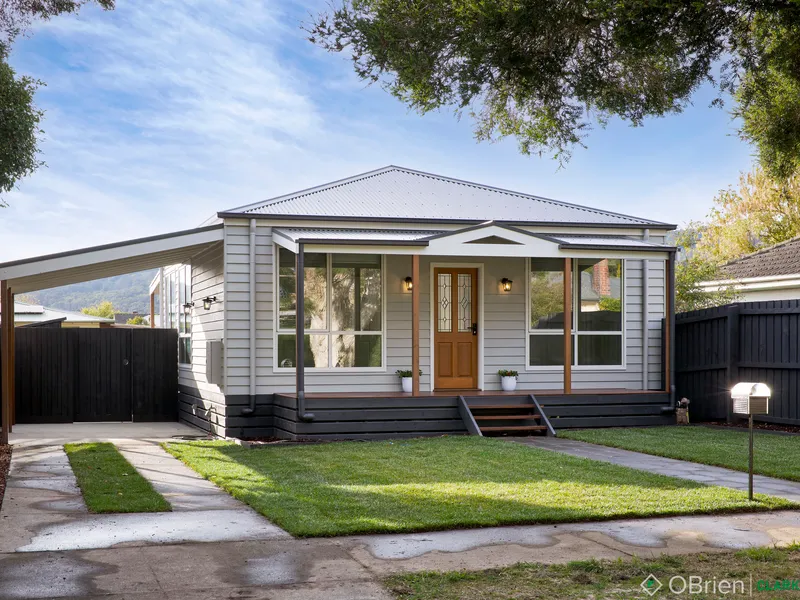 Starting out or Scaling back, This is perfect! 