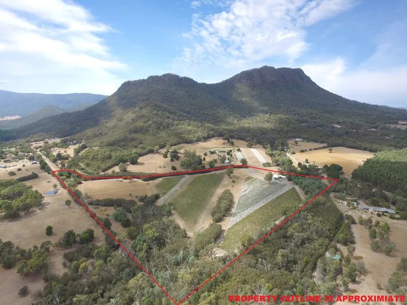 Mount Cathedral Vineyards