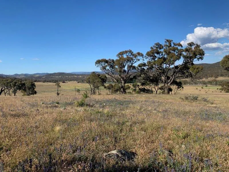 ROTHLYN ROAD ACREAGE-COOMA NSW