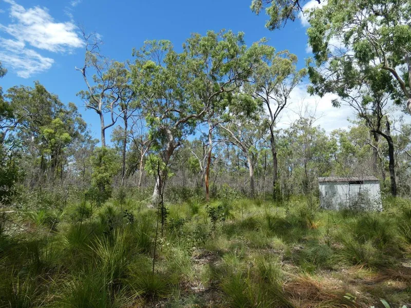 A VERY PRETTY 40 ACRES WITH CAMPSITE CLEARED