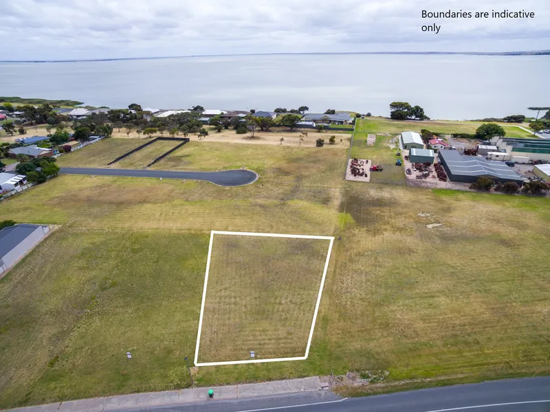 Absolute pick of the bunch!