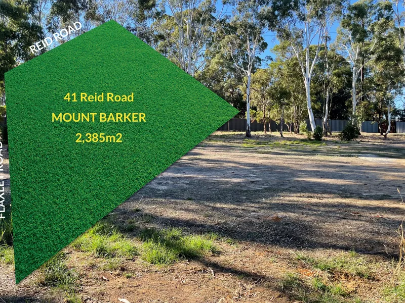 NOW is the Perfect Time to Build!