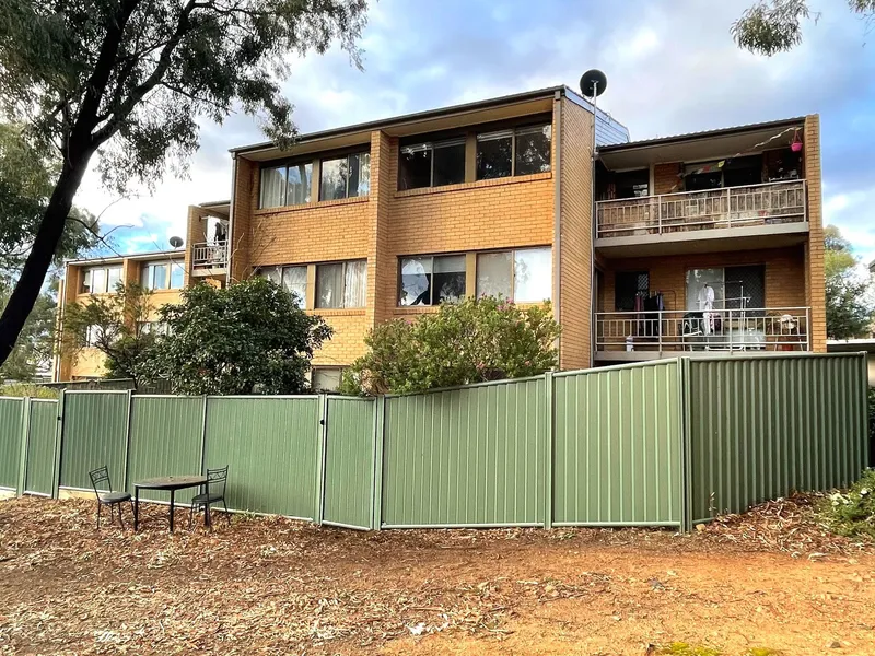 Amongst the treetops! 